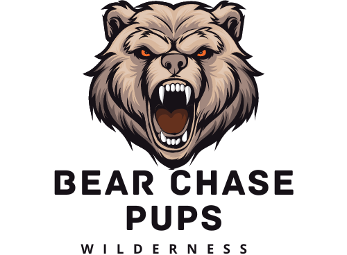BEAR CHASE PUPS